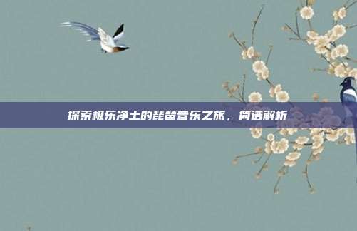 探索极乐净土的琵琶音乐之旅,简谱解析