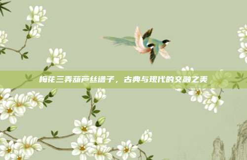 梅花三弄葫芦丝谱子,古典与现代的交融之美
