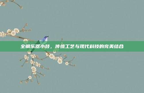 全钢乐器小鼓,传统工艺与现代科技的完美结合