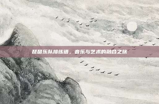琵琶乐队排练谱，音乐与艺术的融合之旅