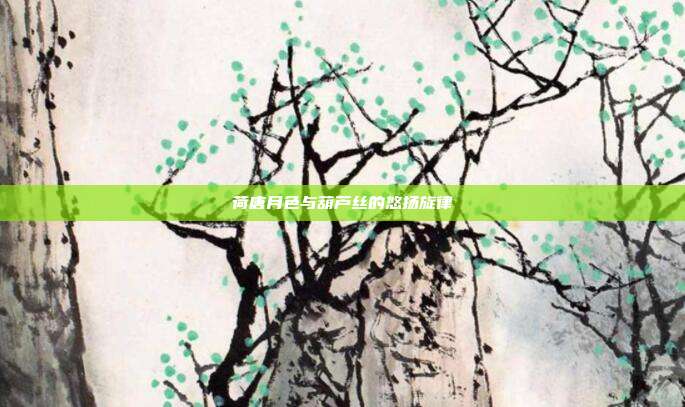 荷唐月色与葫芦丝的悠扬旋律