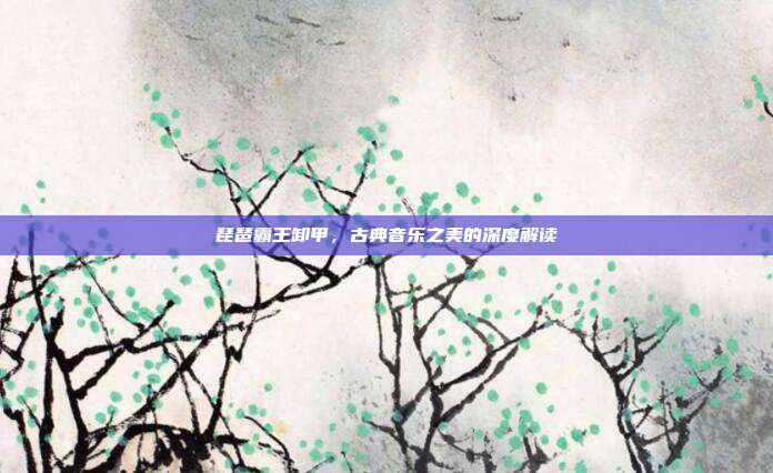 琵琶霸王卸甲，古典音乐之美的深度解读