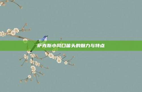 萨克斯小风口笛头的魅力与特点