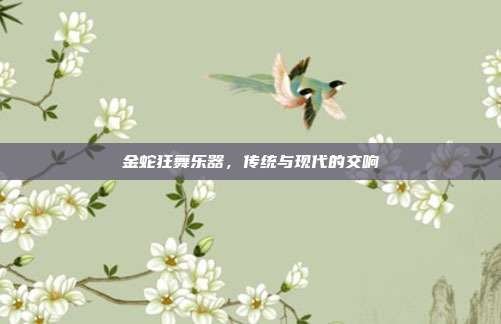 金蛇狂舞乐器,传统与现代的交响