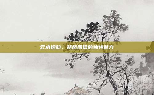云水逸韵,琵琶简谱的独特魅力