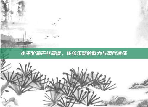 小毛驴葫芦丝简谱，传统乐器的魅力与现代演绎