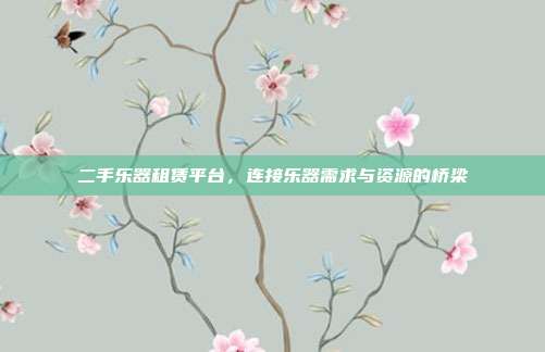 二手乐器租赁平台,连接乐器需求与资源的桥梁