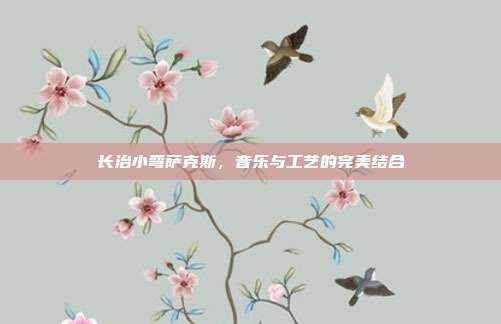 长治小弯萨克斯,音乐与工艺的完美结合