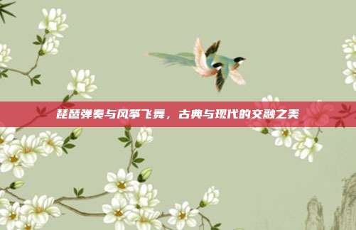 琵琶弹奏与风筝飞舞,古典与现代的交融之美