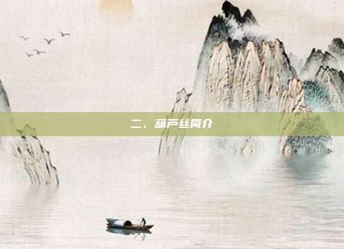 二、葫芦丝简介