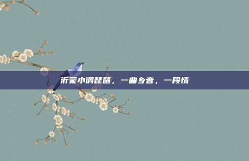 沂蒙小调琵琶，一曲乡音，一段情