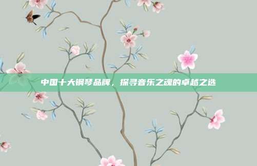 中国十大钢琴品牌，探寻音乐之魂的卓越之选