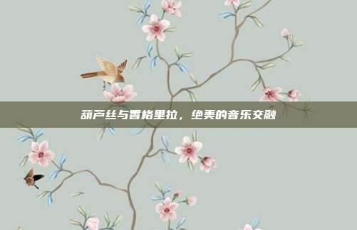 葫芦丝与香格里拉，绝美的音乐交融