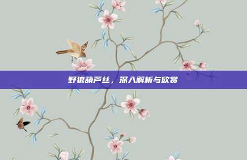 野狼葫芦丝，深入解析与欣赏