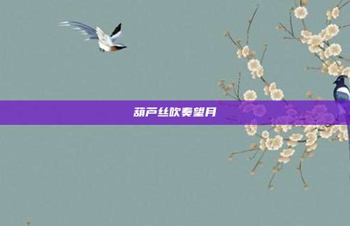 葫芦丝吹奏望月