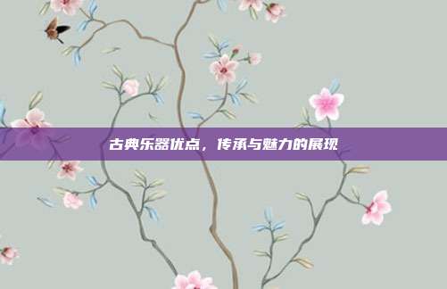 古典乐器优点，传承与魅力的展现