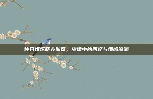 往日情怀萨克斯风，旋律中的回忆与情感流淌