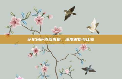 萨尔码萨克斯价格，深度解析与比较