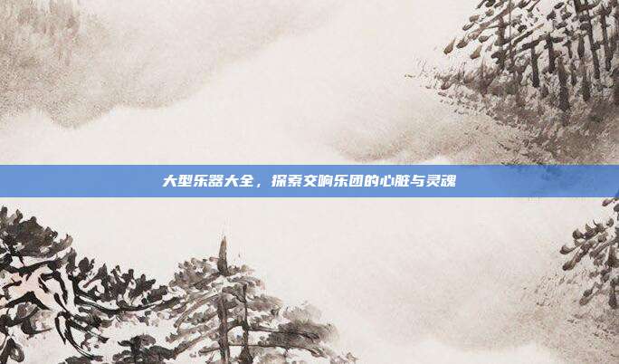 大型乐器大全，探索交响乐团的心脏与灵魂