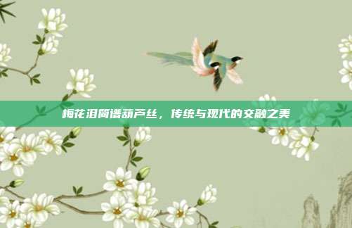 梅花泪简谱葫芦丝,传统与现代的交融之美