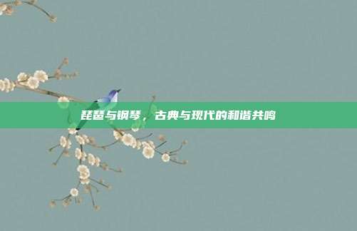 琵琶与钢琴，古典与现代的和谐共鸣