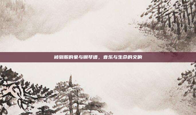 被驯服的象与钢琴谱，音乐与生命的交响