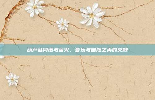 葫芦丝简谱与萤火，音乐与自然之美的交融