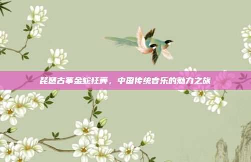 琵琶古筝金蛇狂舞，中国传统音乐的魅力之旅