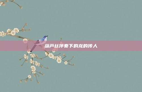 葫芦丝伴奏下的龙的传人