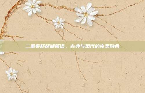 二重奏琵琶版简谱，古典与现代的完美融合