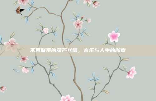 不再联系的葫芦丝谱，音乐与人生的断章