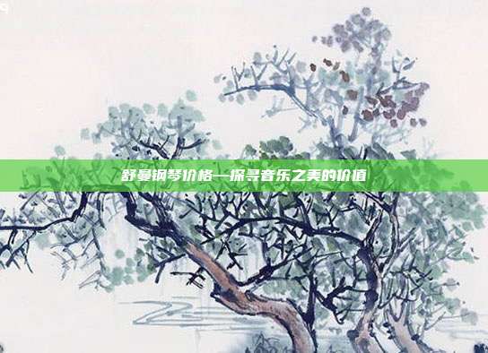 舒曼钢琴价格—探寻音乐之美的价值