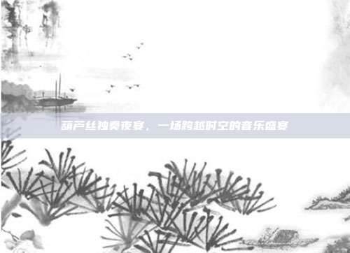 葫芦丝独奏夜宴，一场跨越时空的音乐盛宴