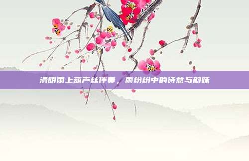 清明雨上葫芦丝伴奏，雨纷纷中的诗意与韵味