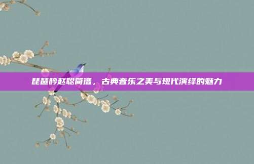 琵琶吟赵聪简谱，古典音乐之美与现代演绎的魅力