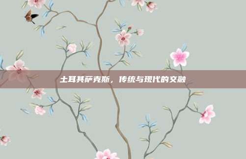 土耳其萨克斯，传统与现代的交融