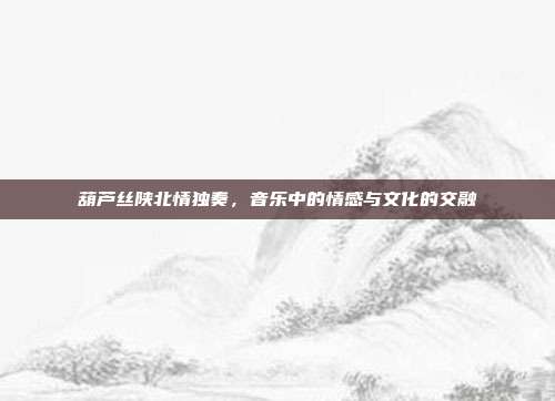 葫芦丝陕北情独奏，音乐中的情感与文化的交融