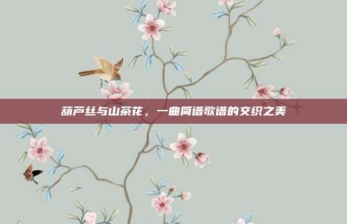 葫芦丝与山茶花,一曲简谱歌谱的交织之美