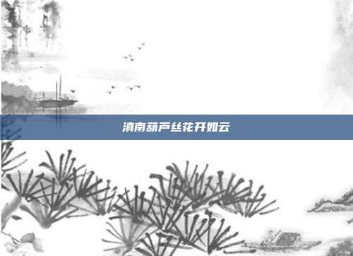 滇南葫芦丝花开如云