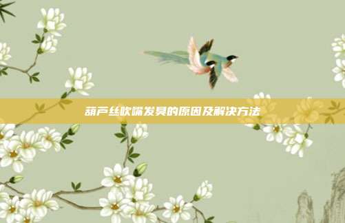 葫芦丝吹嘴发臭的原因及解决方法