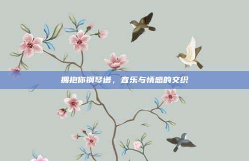 拥抱你钢琴谱，音乐与情感的交织