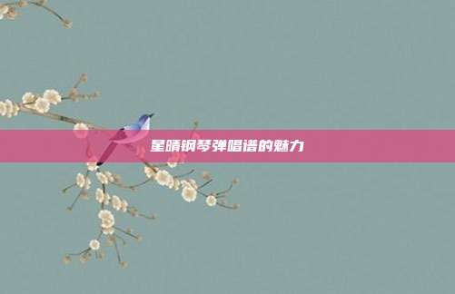 星晴钢琴弹唱谱的魅力