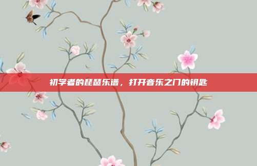 初学者的琵琶乐谱，打开音乐之门的钥匙