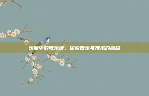乐器中的吃乐谱,探索音乐与技术的融合