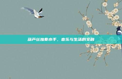 葫芦丝独奏水手,音乐与生活的交融