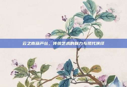 云之南葫芦丝，传统艺术的魅力与现代演绎