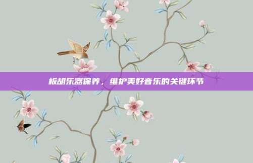 板胡乐器保养，维护美好音乐的关键环节
