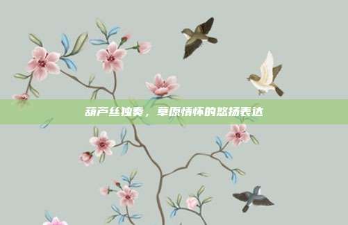 葫芦丝独奏，草原情怀的悠扬表达