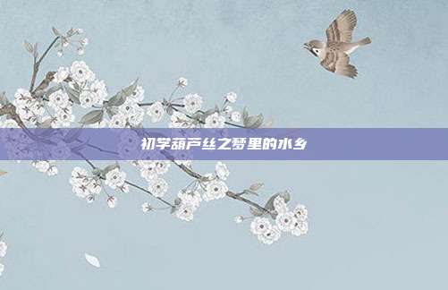 初学葫芦丝之梦里的水乡