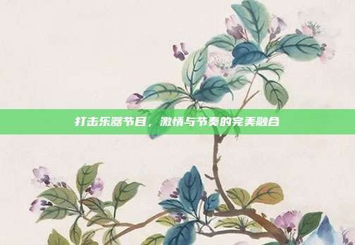 打击乐器节目，激情与节奏的完美融合